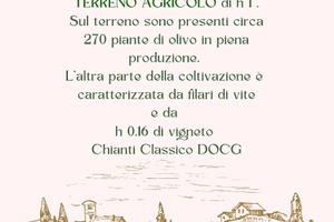 Terreno a coltivazione mista