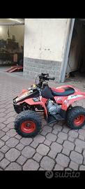 Quad ATV 50 4 Tempi a Marce