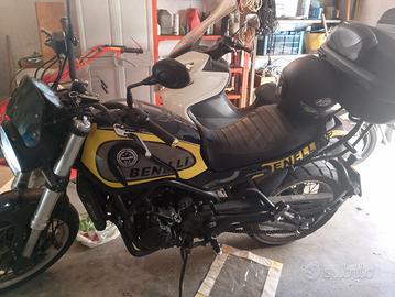 Benelli Leoncino trial 500