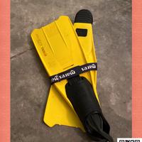 Pinne Gialle --- nuoVE-