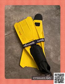 Pinne Gialle --- nuoVE-