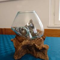Scultura legno vetro - terrario