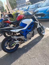 Suzuki SFV Gladius 650 - 2012