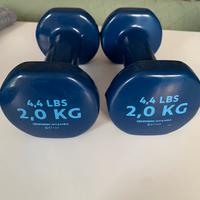 Coppia di pesi da 2 kg