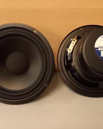 Woofer coral electronic