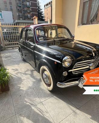 FIAT 1100 TV 103