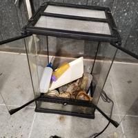 Teca per rettili o piccoli mammiferi