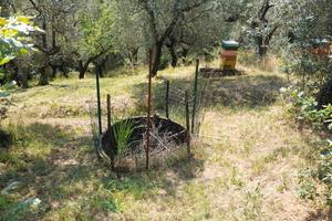 Terreno agricolo a Spicchio di Lamporecchio