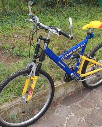 Bici mountain bike mtb Cobran 26" cambio shimano
