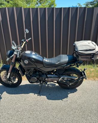 Benelli Leoncino Trial 500