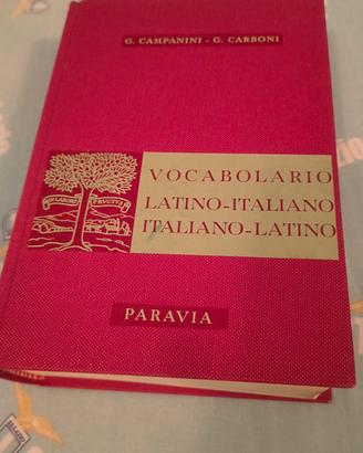 vocabolario 