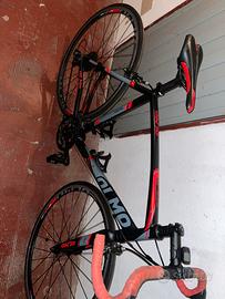 Olmo veloce taglia M