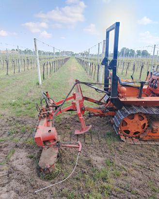 Fresa interfilare vigneto Rinieri