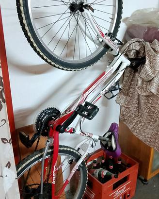 bicicletta mountain-bike 