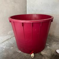 Mastello vino con Rubinetto