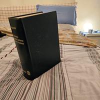 dizionario
