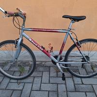 mountain bike raggio 26 STUCCHI 