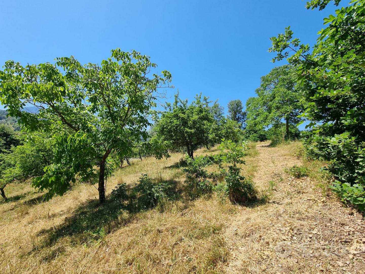 Due lotti di terreno di mq 9000 - Vista 2