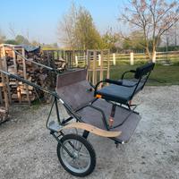 Calesse da allenamento