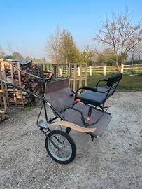 Calesse da allenamento