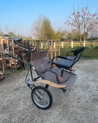 Calesse da allenamento