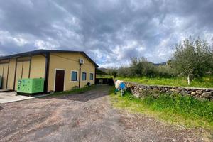 Laboratorio 100 mq+Terreno (Via A.Diaz-PISANO)