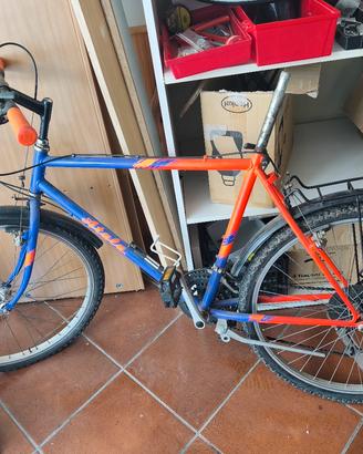 bicicletta 