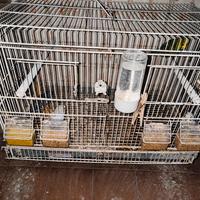 Gabbia per canarini o pappagalli piccola taglia