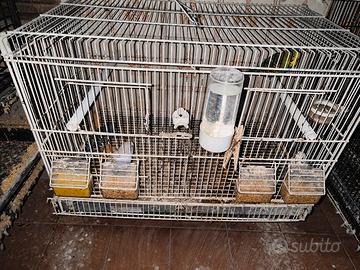 Gabbia per canarini o pappagalli piccola taglia
