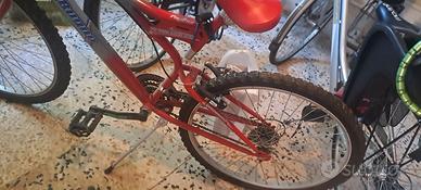 Bicicletta