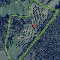 Terreno agricolo sui Colli Euganei