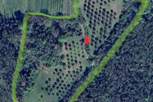 Terreno agricolo sui Colli Euganei