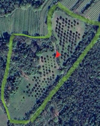 Terreno agricolo sui Colli Euganei
