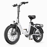 Bici elettrica 48V 15,6 ah 748,8 kwh