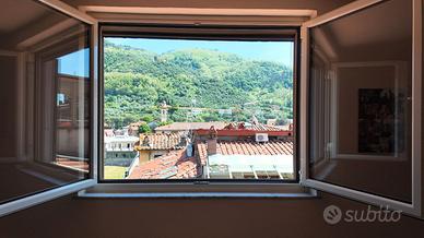 Centro storico di Pescia, panoramico da privato