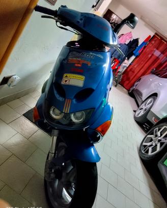 leovince tt minarelli orizzontale 