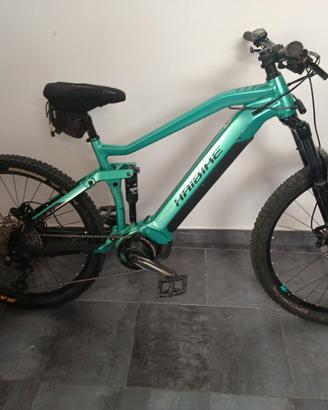 haibike 