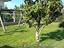 Immagine 22