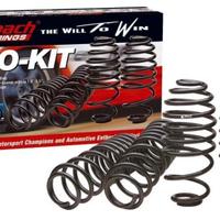 Molle eibach Pro kit VW  scirocco 2011