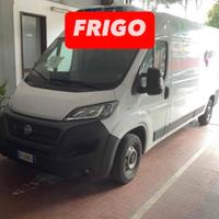 FIAT DUCATO 2.3mjt 140cv L3H2 FRIGO 2021