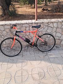 Bicicletta uomo da collezione