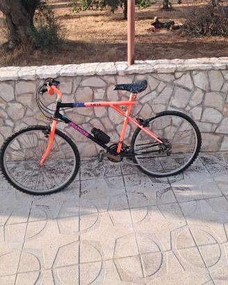 Bicicletta uomo da collezione