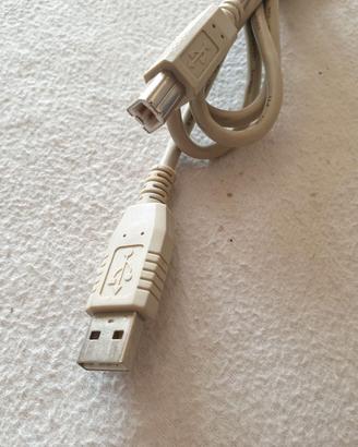 Cavo stampante USB 2.0 A a Type B maschio mt. 1