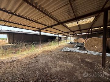 Stalla di 500 mq con 1 ettaro di terreno a pochi m