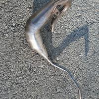 Pancia marmitta espansione leovince hm 50