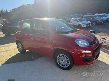FIAT Panda 1.0 FireFly S&S Hybrid Icon