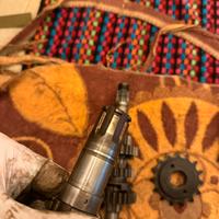 Alberino pignone tramsalp 600