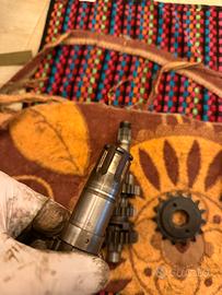 Alberino pignone tramsalp 600