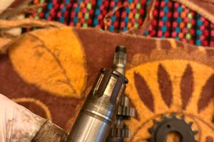 Alberino pignone tramsalp 600