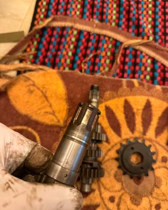 Alberino pignone tramsalp 600